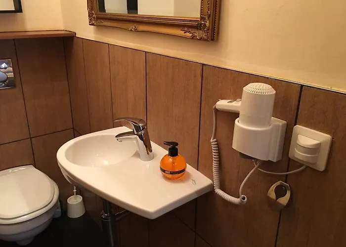 公寓 Haus Rhaetikon Mayer 达沃斯