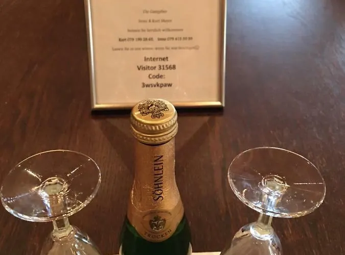 Haus Rhaetikon Mayer 达沃斯